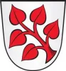gemeinde_frauenau.webp