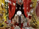 schaufenster_lisa_foto_marita_haller.webp
