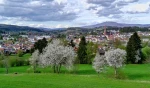 stadt_zwiesel_ansicht_fruehling.webp