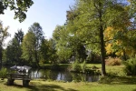 stadt_zwiesel_stadtpark.webp