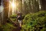 stadt_zwiesel_wandern.webp